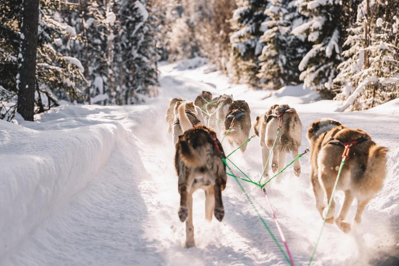 Nova Galaxy Village Rovaniemi Dış mekan fotoğraf