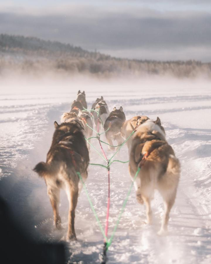 Nova Galaxy Village Rovaniemi Dış mekan fotoğraf