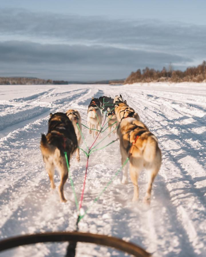 Nova Galaxy Village Rovaniemi Dış mekan fotoğraf