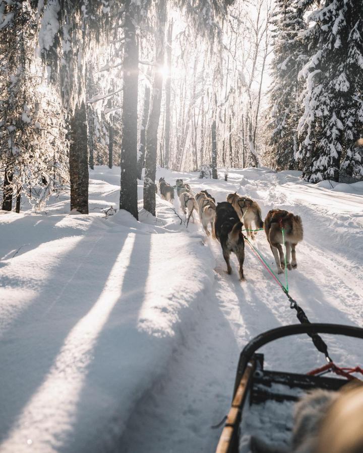 Nova Galaxy Village Rovaniemi Dış mekan fotoğraf