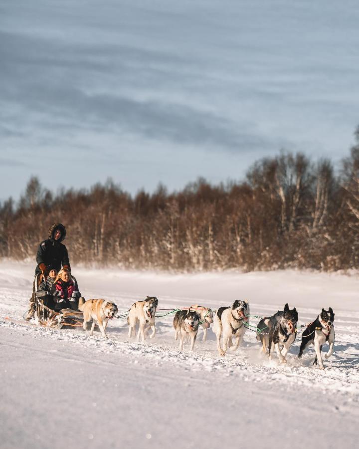 Nova Galaxy Village Rovaniemi Dış mekan fotoğraf