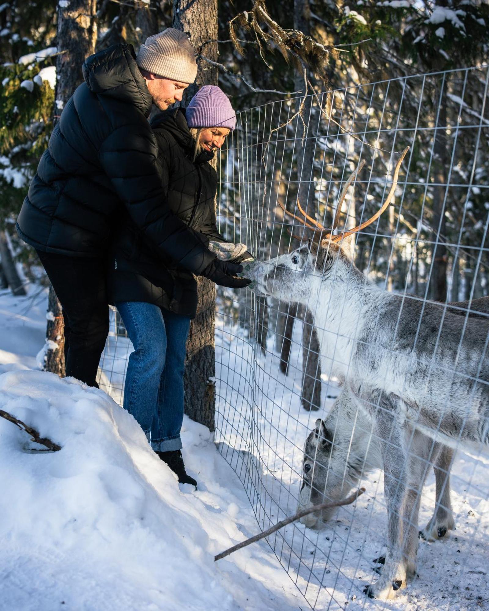 Nova Galaxy Village Rovaniemi Dış mekan fotoğraf